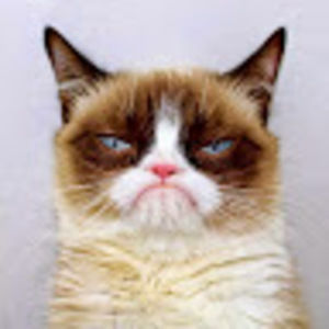 Meet your Posher, Bryan